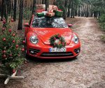 Аренда прокат Volkswagen New Beetle Киев цена
