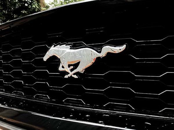 Ford Mustang черный на прокат аренда авто спорткар