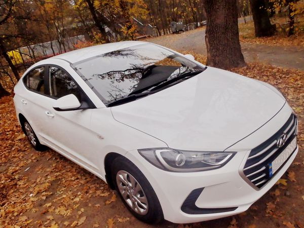  Hyundai Elantra белая на свадьбу в киеве