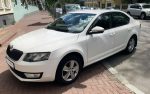 Прокат авто Skoda Octavia A7 новая белая Киев цена