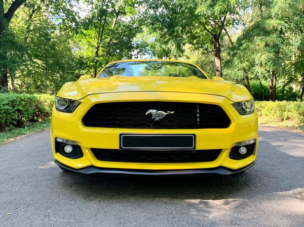Аренда Ford Mustang желтый кабриолет на свадьбу съемки видео фото