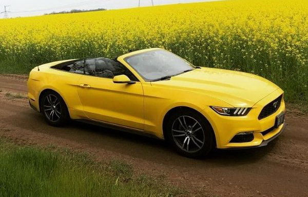 Ford Mustang желтый кабриолет заказать на прокат