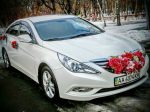 Оренда Hyundai Sonata NEW біла на весілля Київ — ціна