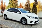 Оренда Toyota Corolla біла на весілля у Києві — ціна